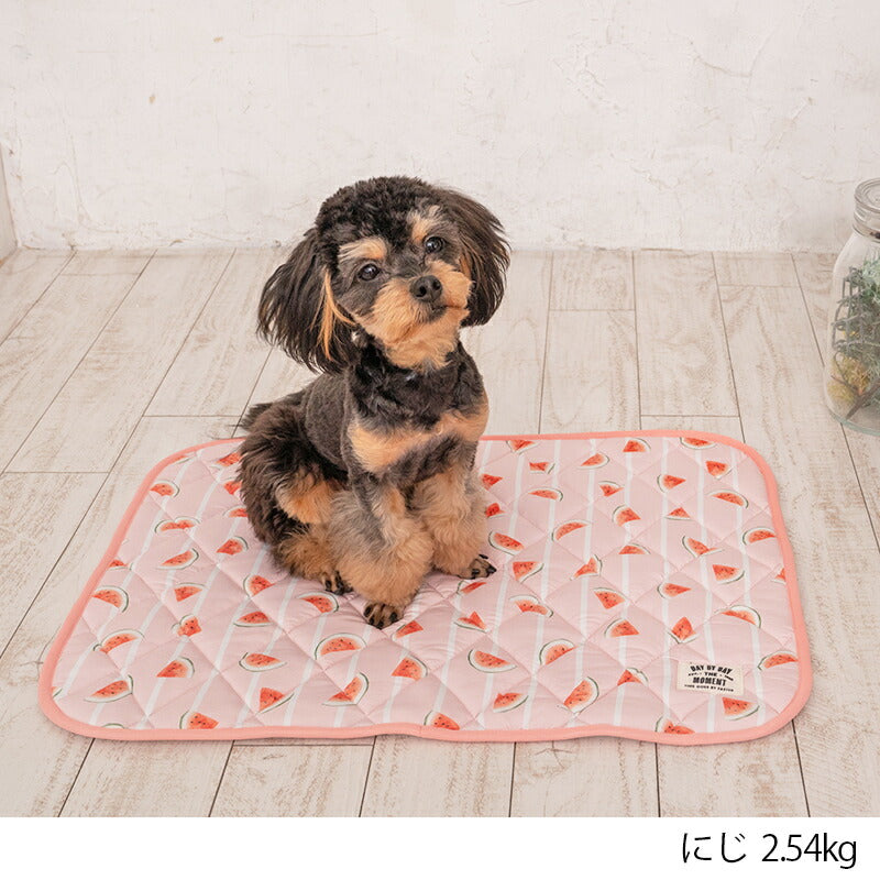 スイカクールマット F Solgra-ソルグラ- 犬用 クールベッド トイプードル チワワ ポメラニアン SO23SS so237218-1