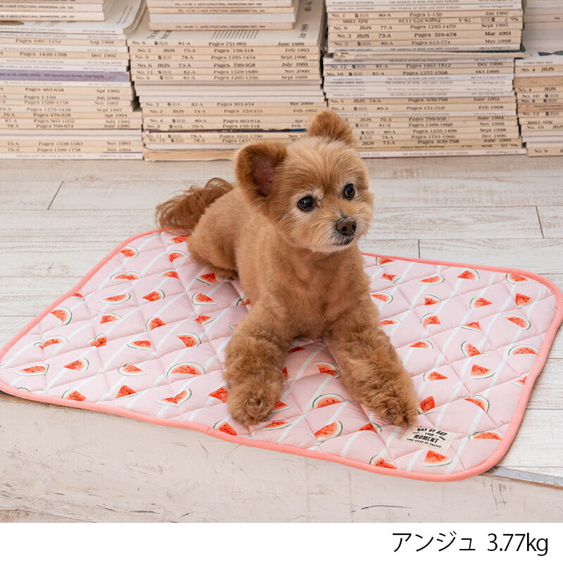 スイカクールマット F Solgra-ソルグラ- 犬用 クールベッド トイプードル チワワ ポメラニアン SO23SS so237218-1