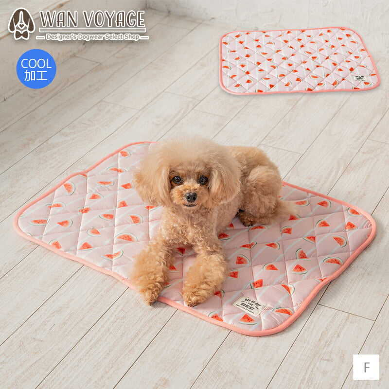 スイカクールマット F Solgra-ソルグラ- 犬用 クールベッド トイプードル チワワ ポメラニアン SO23SS so237218-1