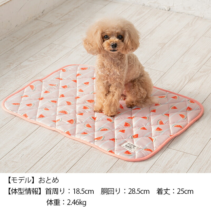 スイカクールマット F Solgra-ソルグラ- 犬用 クールベッド トイプードル チワワ ポメラニアン SO23SS so237218-1