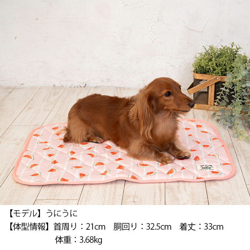 スイカクールマット F Solgra-ソルグラ- 犬用 クールベッド トイプードル チワワ ポメラニアン SO23SS so237218-1