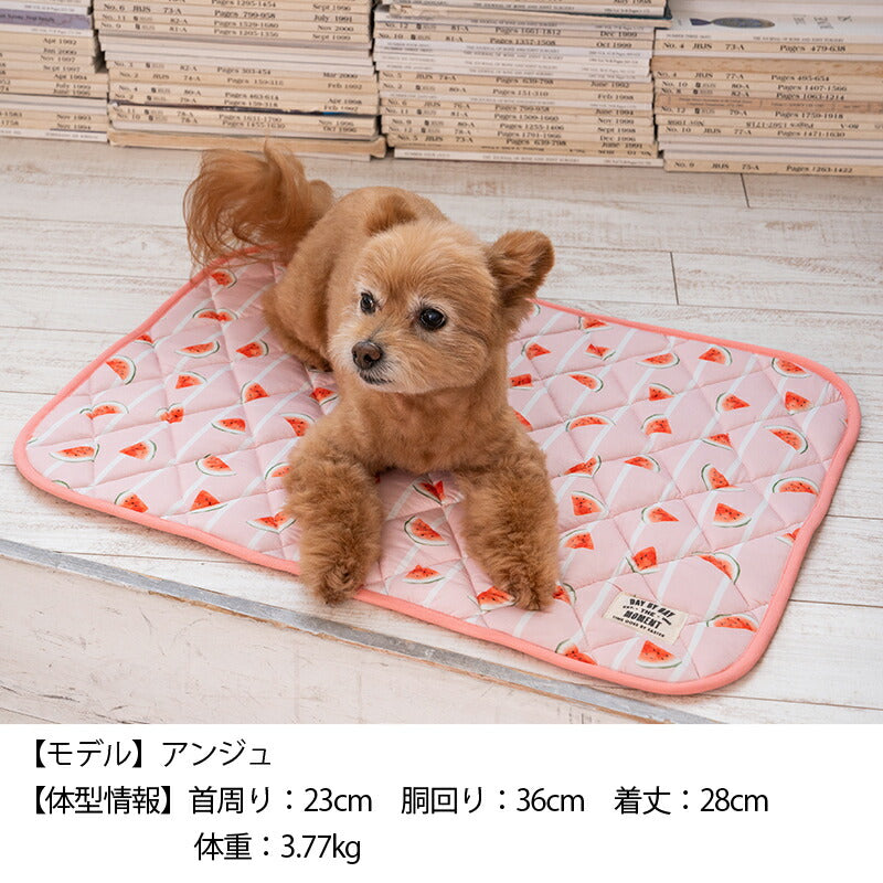 スイカクールマット F Solgra-ソルグラ- 犬用 クールベッド トイプードル チワワ ポメラニアン SO23SS so237218-1