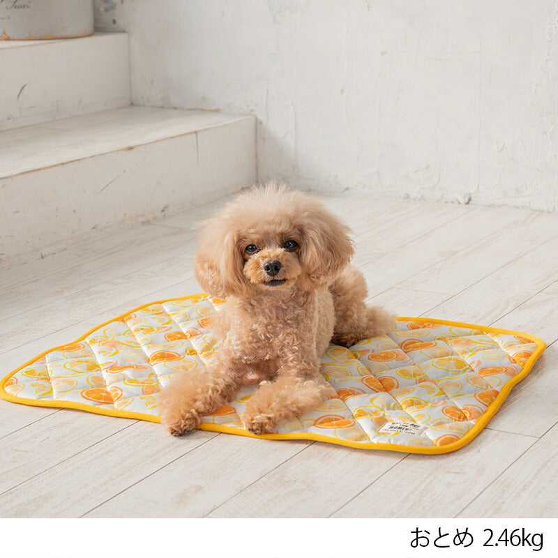 オレンジクールマット F Solgra-ソルグラ- 犬用 クールベッド トイプードル チワワ ポメラニアン SO23SS so237219-1