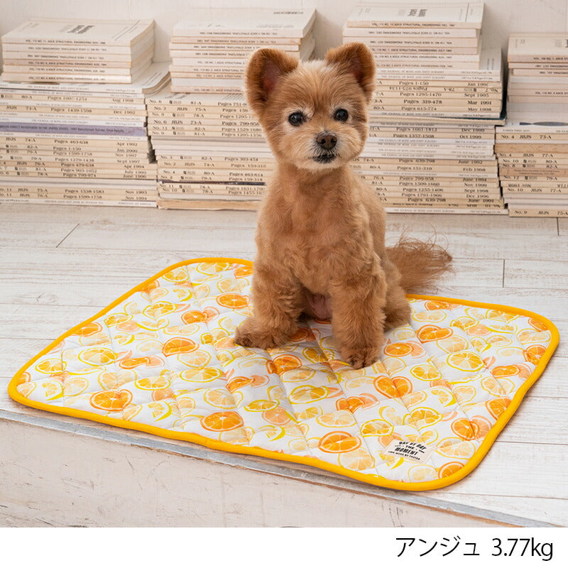 オレンジクールマット F Solgra-ソルグラ- 犬用 クールベッド トイプードル チワワ ポメラニアン SO23SS so237219-1