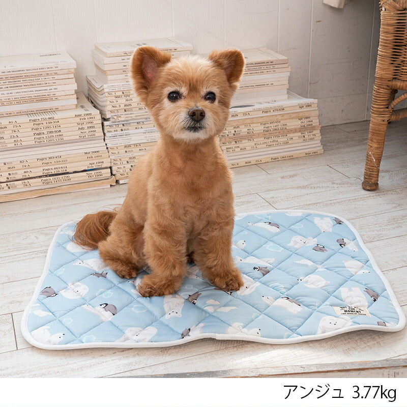 白くまクールマット F Solgra-ソルグラ- 犬用 クールベッド トイプードル チワワ ポメラニアン SO23SS so237220-1