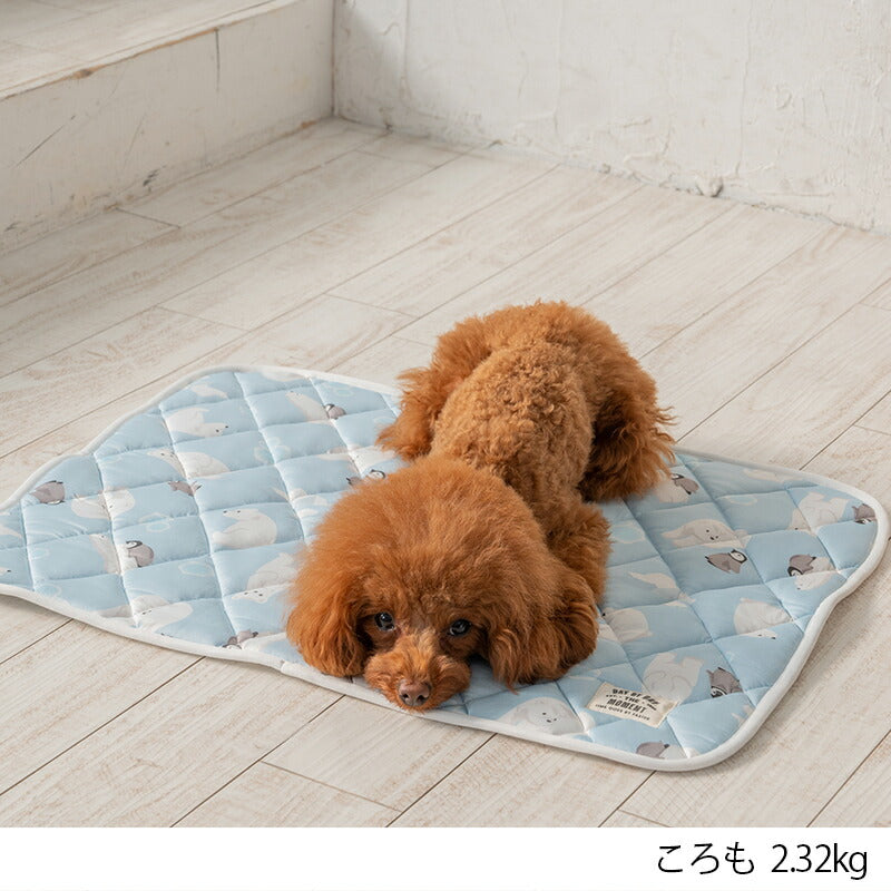 白くまクールマット F Solgra-ソルグラ- 犬用 クールベッド トイプードル チワワ ポメラニアン SO23SS so237220-1