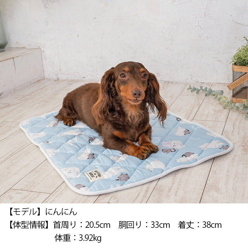 白くまクールマット F Solgra-ソルグラ- 犬用 クールベッド トイプードル チワワ ポメラニアン SO23SS so237220-1