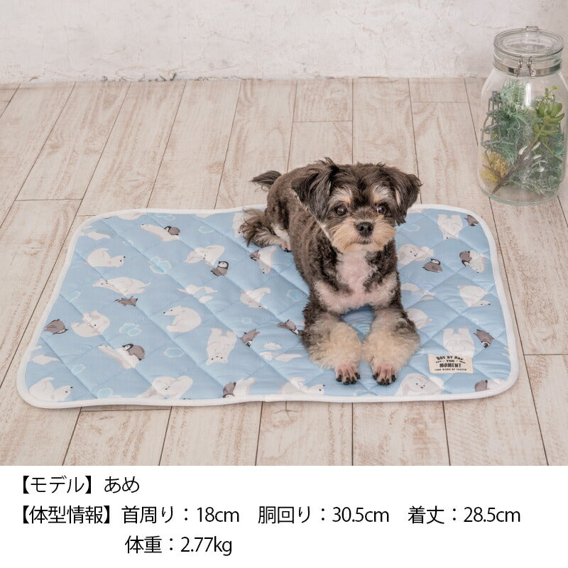白くまクールマット F Solgra-ソルグラ- 犬用 クールベッド トイプードル チワワ ポメラニアン SO23SS so237220-1
