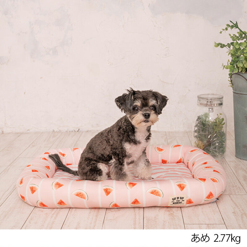 スイカクールスクエアベッド F Solgra-ソルグラ- 犬用 クールベッド トイプードル チワワ ポメラニアン SO23SS so237221-1