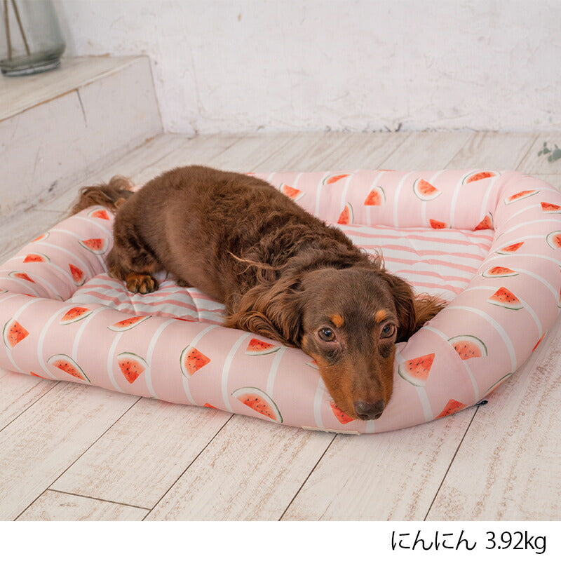 スイカクールスクエアベッド F Solgra-ソルグラ- 犬用 クールベッド トイプードル チワワ ポメラニアン SO23SS so237221-1