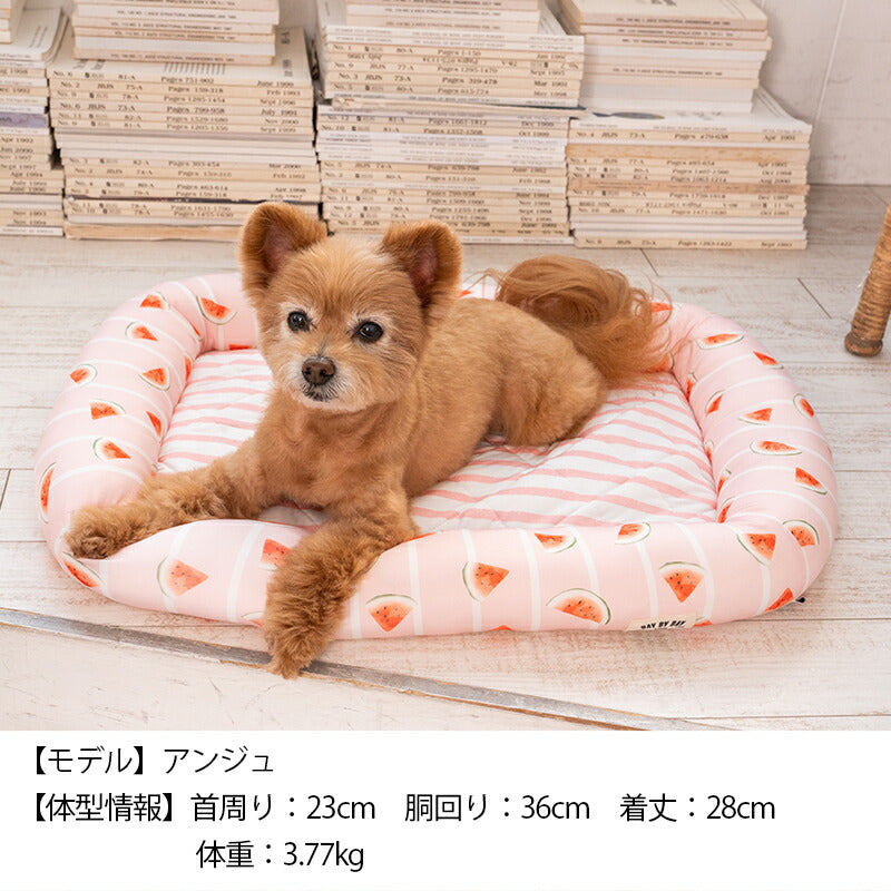 スイカクールスクエアベッド F Solgra-ソルグラ- 犬用 クールベッド トイプードル チワワ ポメラニアン SO23SS so237221-1