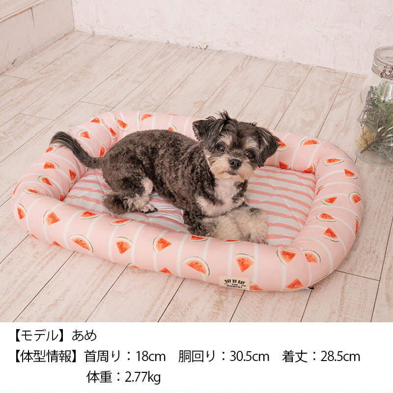 スイカクールスクエアベッド F Solgra-ソルグラ- 犬用 クールベッド トイプードル チワワ ポメラニアン SO23SS so237221-1