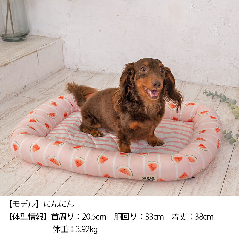 スイカクールスクエアベッド F Solgra-ソルグラ- 犬用 クールベッド トイプードル チワワ ポメラニアン SO23SS so237221-1
