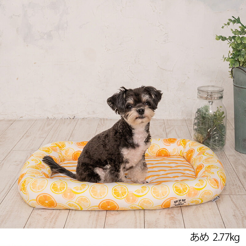 オレンジクールスクエアベッド F Solgra-ソルグラ- 犬用 クールベッド トイプードル チワワ ポメラニアン SO23SS so237222-1