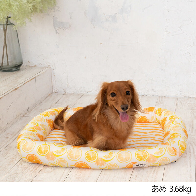 オレンジクールスクエアベッド F Solgra-ソルグラ- 犬用 クールベッド トイプードル チワワ ポメラニアン SO23SS so237222-1