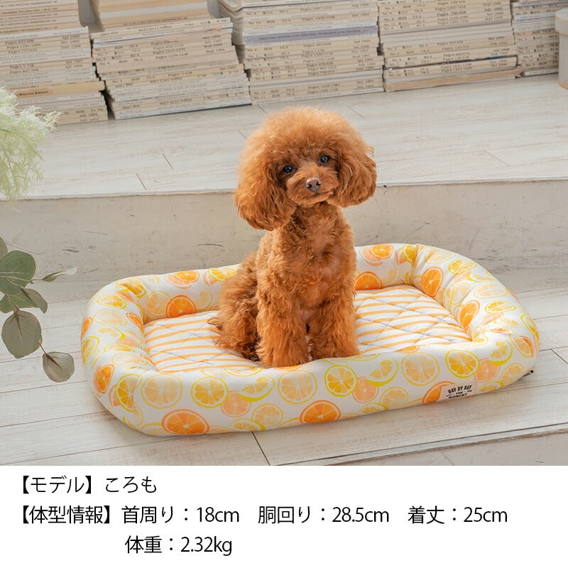 オレンジクールスクエアベッド F Solgra-ソルグラ- 犬用 クールベッド トイプードル チワワ ポメラニアン SO23SS so237222-1