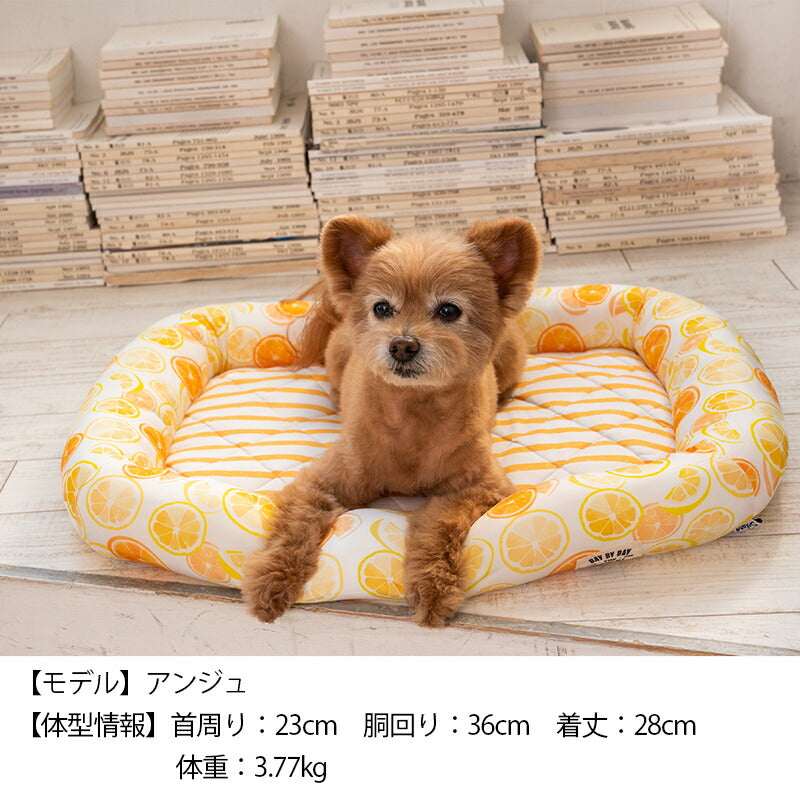 オレンジクールスクエアベッド F Solgra-ソルグラ- 犬用 クールベッド トイプードル チワワ ポメラニアン SO23SS so237222-1