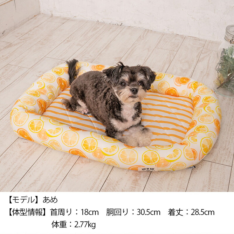 オレンジクールスクエアベッド F Solgra-ソルグラ- 犬用 クールベッド トイプードル チワワ ポメラニアン SO23SS so237222-1