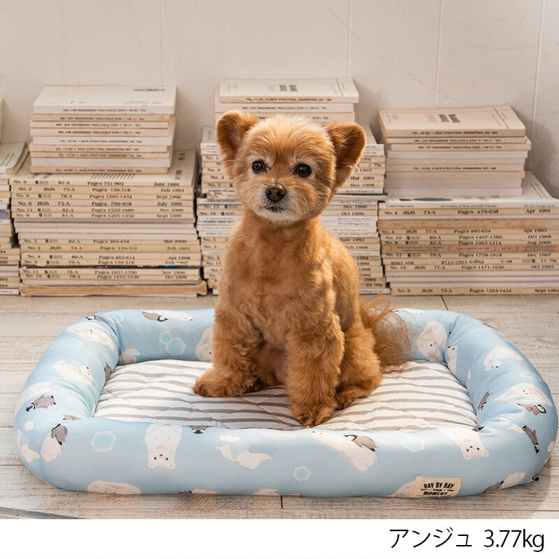 白くまクールスクエアベッド F Solgra-ソルグラ- 犬用 クールベッド トイプードル チワワ ポメラニアン SO23SS so237223-1