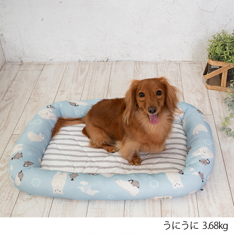 白くまクールスクエアベッド F Solgra-ソルグラ- 犬用 クールベッド トイプードル チワワ ポメラニアン SO23SS so237223-1