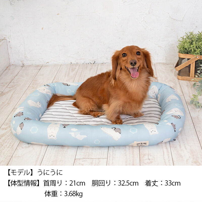 白くまクールスクエアベッド F Solgra-ソルグラ- 犬用 クールベッド トイプードル チワワ ポメラニアン SO23SS so237223-1