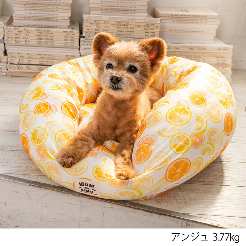 オレンジクールラウンドベッド F Solgra-ソルグラ- 犬用 クールベッド トイプードル チワワ ポメラニアン SO23SS so237225-1