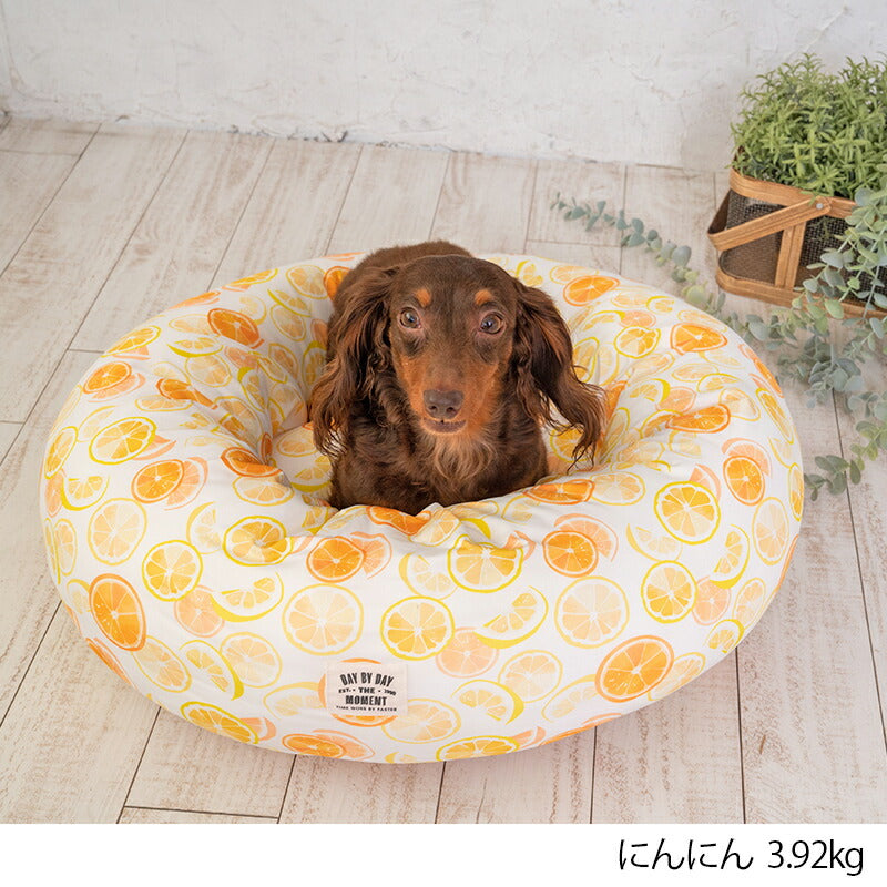 オレンジクールラウンドベッド F Solgra-ソルグラ- 犬用 クールベッド トイプードル チワワ ポメラニアン SO23SS so237225-1