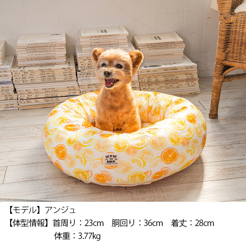 オレンジクールラウンドベッド F Solgra-ソルグラ- 犬用 クールベッド トイプードル チワワ ポメラニアン SO23SS so237225-1
