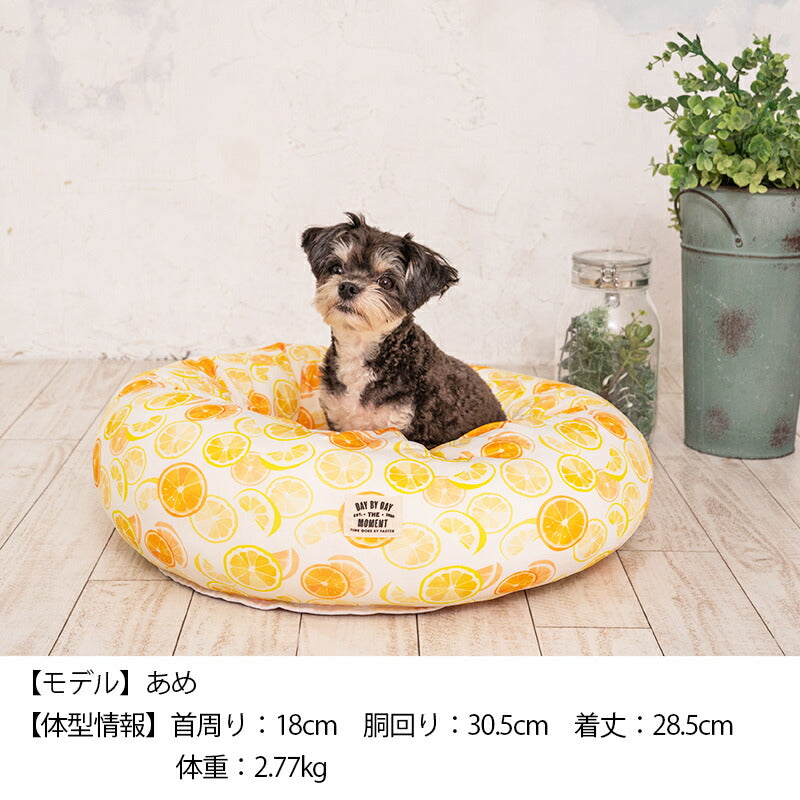 オレンジクールラウンドベッド F Solgra-ソルグラ- 犬用 クールベッド トイプードル チワワ ポメラニアン SO23SS so237225-1