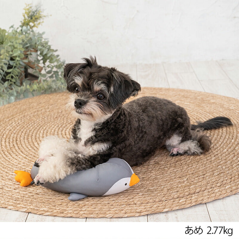 ペンギンクールピロー F Solgra-ソルグラ- 犬用 アゴ置きまくら トイプードル チワワ ポメラニアン SO23SS so237230-1