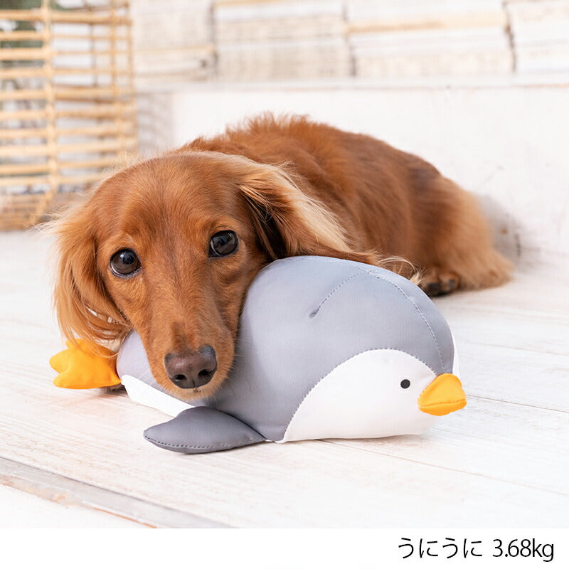ペンギンクールピロー F Solgra-ソルグラ- 犬用 アゴ置きまくら トイプードル チワワ ポメラニアン SO23SS so237230-1