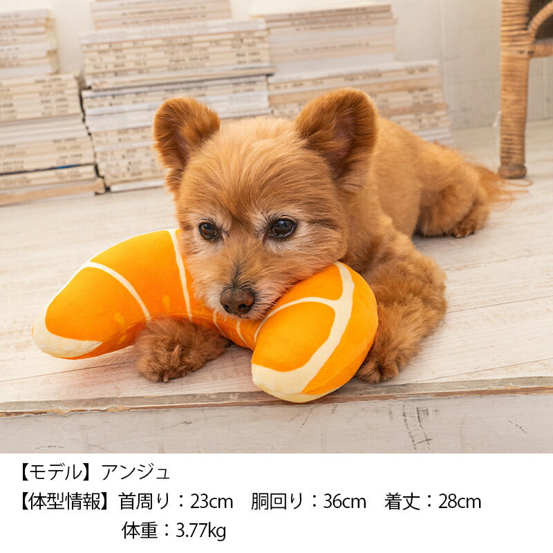 オレンジピロー F Solgra-ソルグラ- 犬用 アゴ置きまくら トイプードル チワワ ポメラニアン SO23SS so237242-1