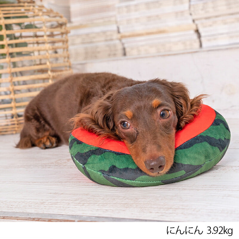 スイカピロー F Solgra-ソルグラ- 犬用 アゴ置きまくら トイプードル チワワ ポメラニアン SO23SS so237244-1