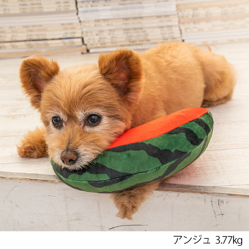 スイカピロー F Solgra-ソルグラ- 犬用 アゴ置きまくら トイプードル チワワ ポメラニアン SO23SS so237244-1
