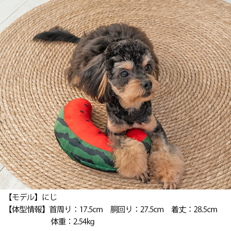 スイカピロー F Solgra-ソルグラ- 犬用 アゴ置きまくら トイプードル チワワ ポメラニアン SO23SS so237244-1
