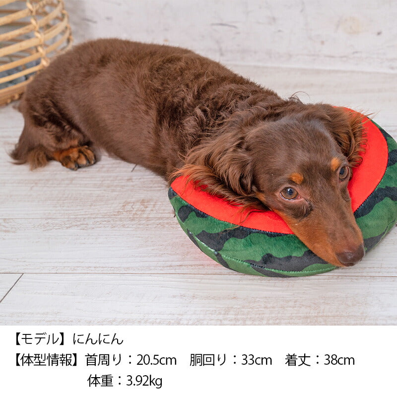 スイカピロー F Solgra-ソルグラ- 犬用 アゴ置きまくら トイプードル チワワ ポメラニアン SO23SS so237244-1