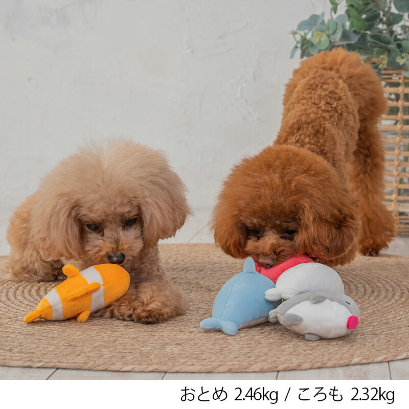 ひっそりクマノミ F Solgra TOY -ソルグラ トイ- 犬用おもちゃ ドッグトイ トイプードル チワワ ポメラニアン SO23SS so235252-1