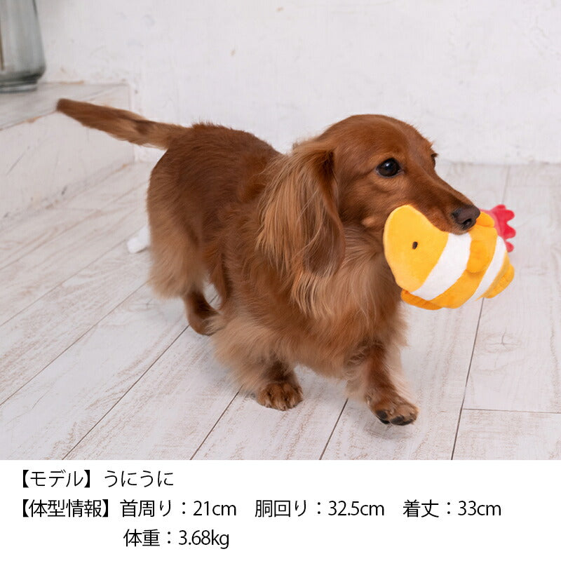 ひっそりクマノミ F Solgra TOY -ソルグラ トイ- 犬用おもちゃ ドッグトイ トイプードル チワワ ポメラニアン SO23SS so235252-1