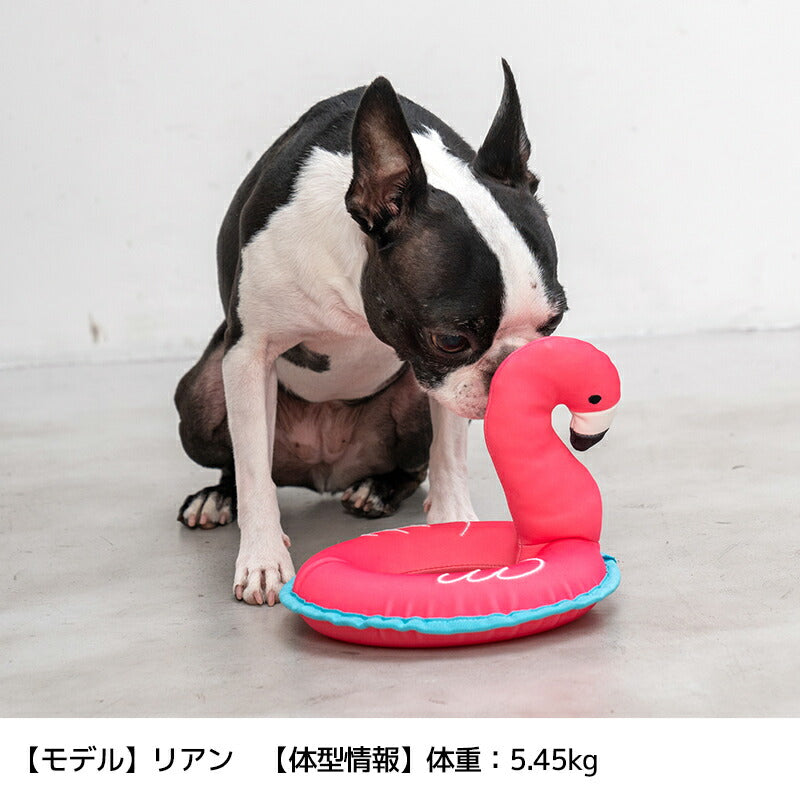 リングスイムトイ Free Solgra TOY -ソルグラ トイ- 犬用おもちゃ ドッグトイ SO24SS so245257-1