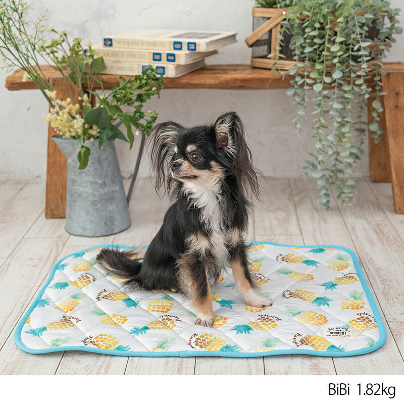 パインクールマット F Solgra-ソルグラ- 犬用 クールベッド トイプードル チワワ ポメラニアン SO23SS so237287-1