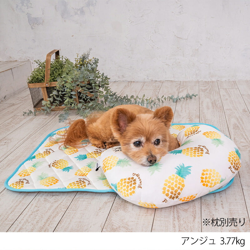 パインクールマット F Solgra-ソルグラ- 犬用 クールベッド トイプードル チワワ ポメラニアン SO23SS so237287-1