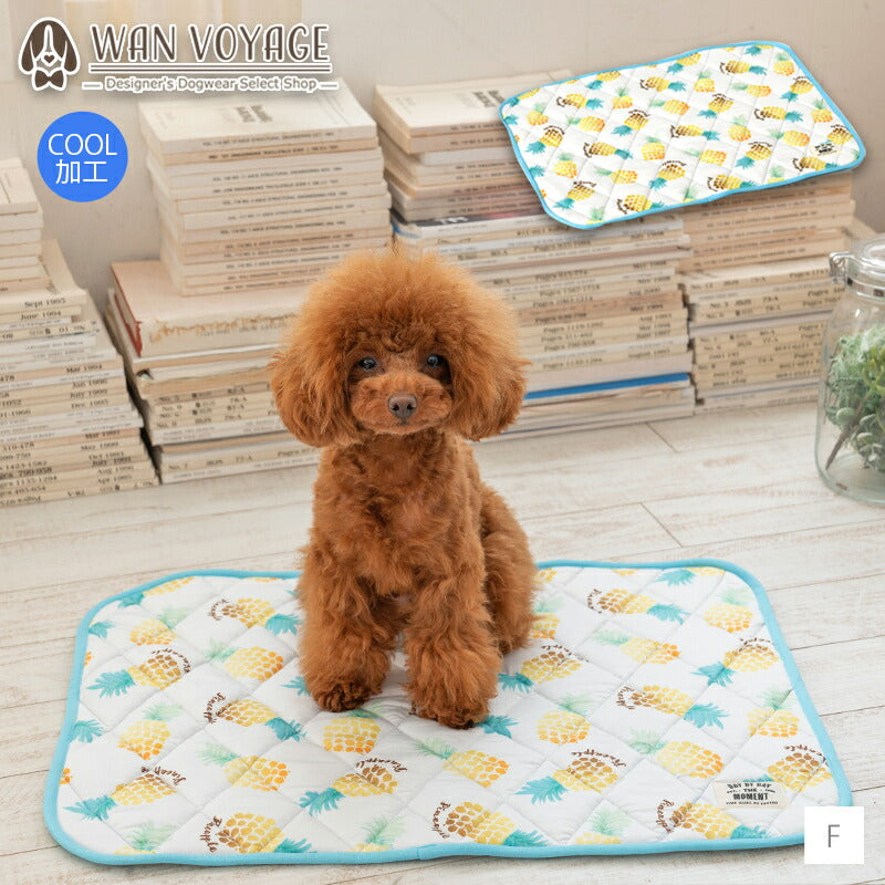 パインクールマット F Solgra-ソルグラ- 犬用 クールベッド トイプードル チワワ ポメラニアン SO23SS so237287-1