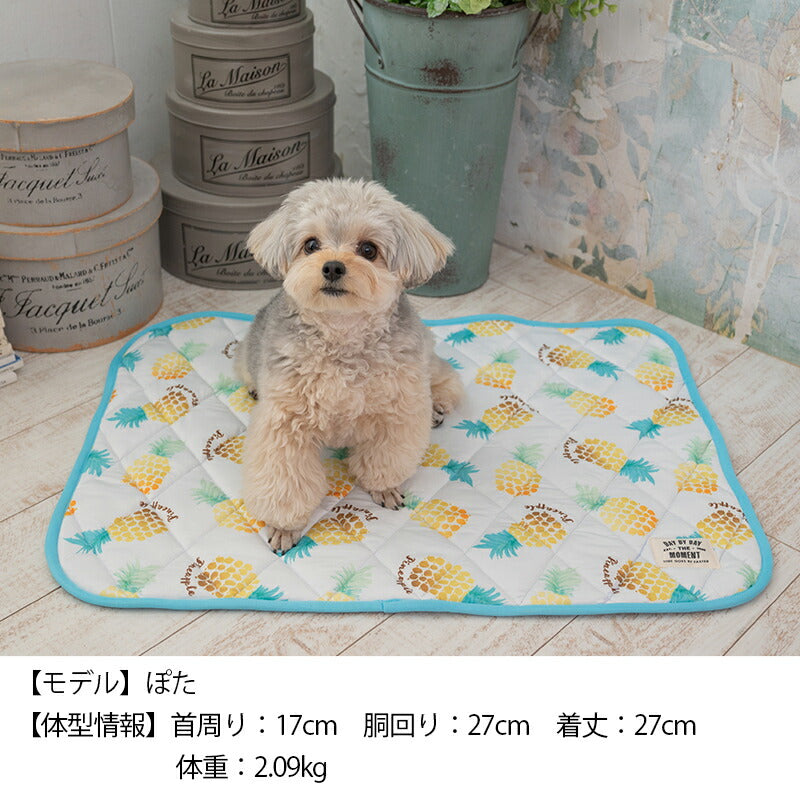パインクールマット F Solgra-ソルグラ- 犬用 クールベッド トイプードル チワワ ポメラニアン SO23SS so237287-1