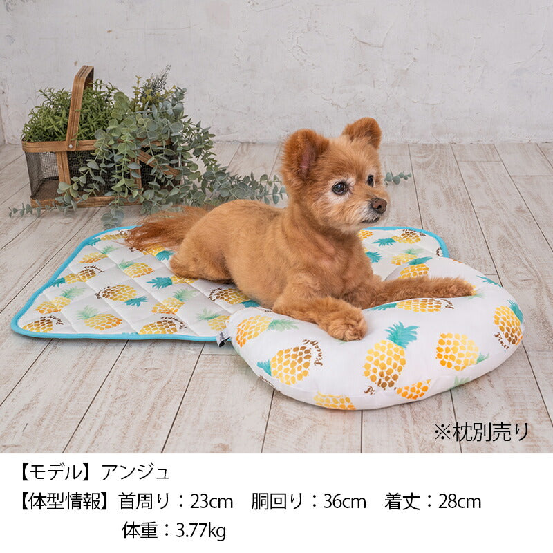 パインクールマット F Solgra-ソルグラ- 犬用 クールベッド トイプードル チワワ ポメラニアン SO23SS so237287-1