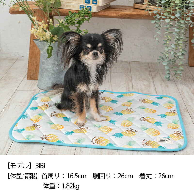 パインクールマット F Solgra-ソルグラ- 犬用 クールベッド トイプードル チワワ ポメラニアン SO23SS so237287-1