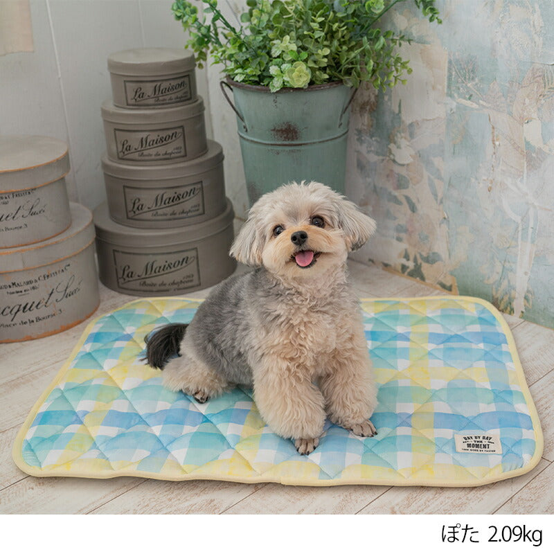 チェッククールマット F Solgra-ソルグラ- 犬用 クールベッド トイプードル チワワ ポメラニアン SO23SS so237288-1