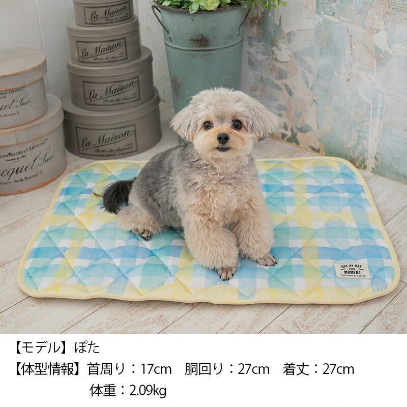 チェッククールマット F Solgra-ソルグラ- 犬用 クールベッド トイプードル チワワ ポメラニアン SO23SS so237288-1