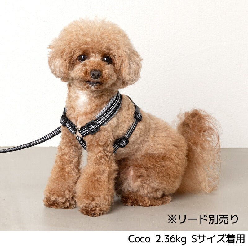 スポーティーハーネス S/M/L Solgra-ソルグラ- 小型犬用 ハーネス SO23AW so239293-1