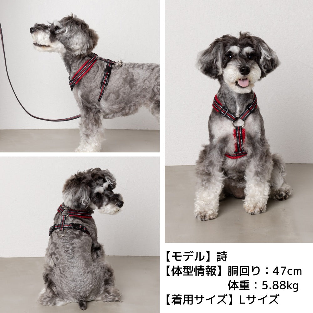 スポーティーハーネス S/M/L Solgra-ソルグラ- 小型犬用 ハーネス SO23AW so239293-1