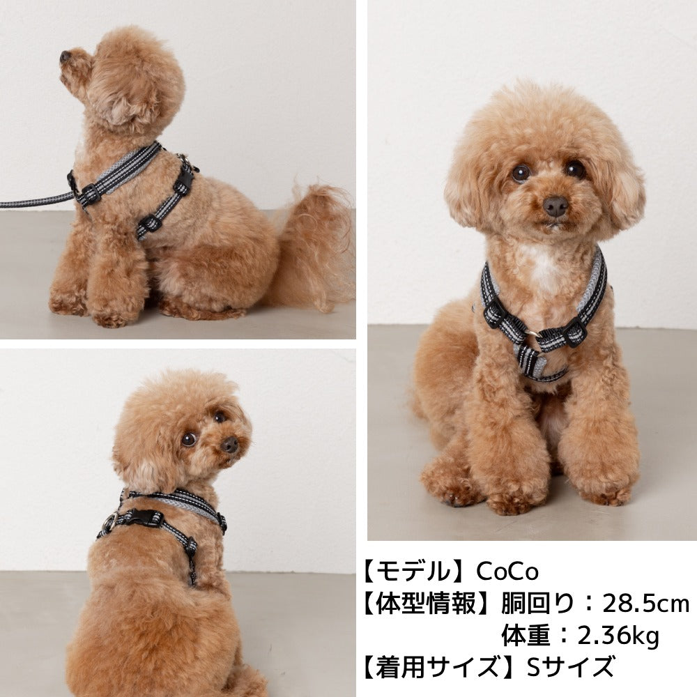 スポーティーハーネス S/M/L Solgra-ソルグラ- 小型犬用 ハーネス SO23AW so239293-1